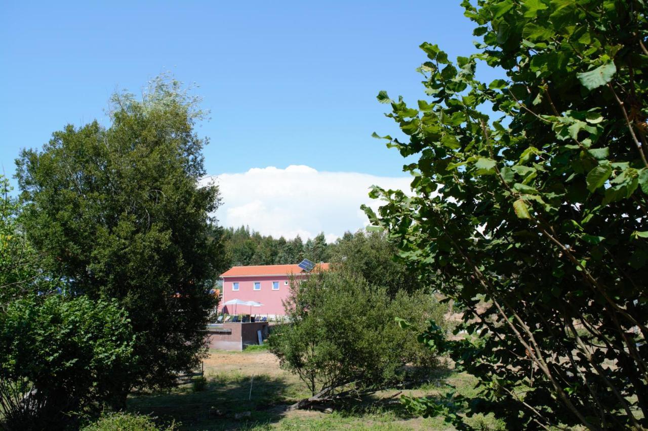 Apartament Quinta Castanheira Santa Comba Dao Zewnętrze zdjęcie