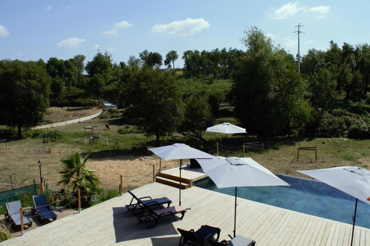 Apartament Quinta Castanheira Santa Comba Dao Zewnętrze zdjęcie